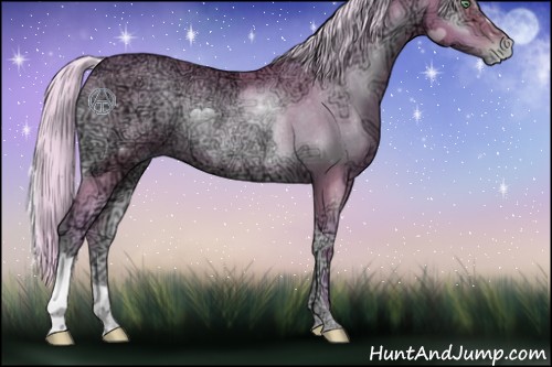 Horse Color:Watercolor Silver Buckskin Ice Pearl Onyx Rabicano 