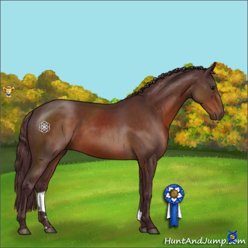 Horse Color:Chocolate Brown 