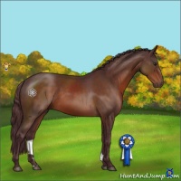 Horse Color:Chocolate Brown 