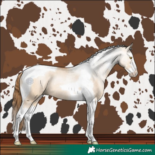 Horse Color:Brown Pearl Dun Sabino Splash Tobiano Rabicano 
