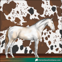 Horse Color:Brown Pearl Dun Sabino Splash Tobiano Rabicano