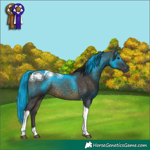 Horse Color:Buckskin Ice Tobiano