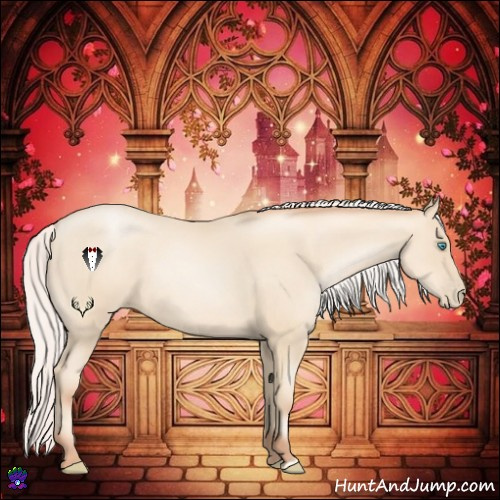 Horse Color:Silver Amber Cream Champagne Pearl
