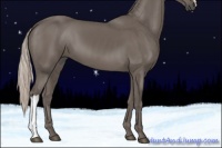 Horse Color:Silver Black 