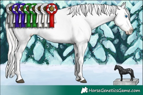 Horse Color:Liver Chestnut Mushroom Sabino Splash Appaloosa  and Liver Chestnut Chinchilla Sabino Splash Tobiano Appaloosa 