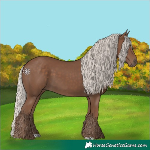 Horse Color:Silver Black