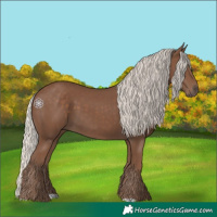 Horse Color:Silver Black 