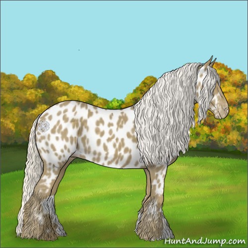Horse Color:Silver Smoky Black Appaloosa