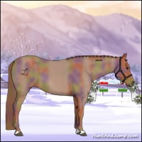 Horse Color:Nacre Red Roan 