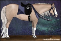 Horse Color:Silver Black Pearl Sabino Splash