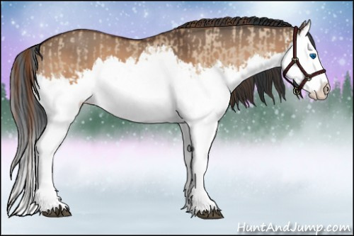 Horse Color:Red Dun Splash  and Bay Dun Splash 