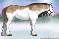 Horse Color:Red Dun Splash  and Bay Dun Splash 