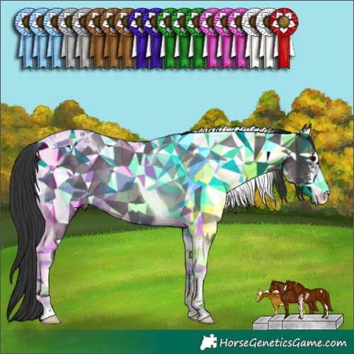 Horse Color:Black Sabino Tobiano Rabicano 