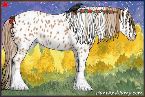 Horse Color:Chestnut Appaloosa