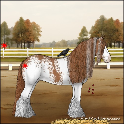 Horse Color:White Spotted Chestnut 