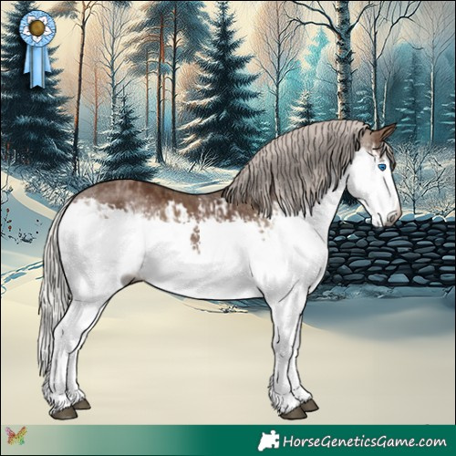 Horse Color:Gray Silver Grullo Splash  and Gray White Spotted Silver Black Splash 