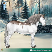 Horse Color:Gray Silver Grullo Splash and Gray White Spotted Silver Black Splash