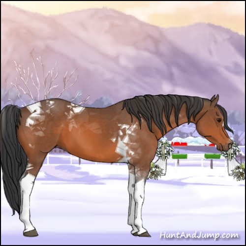 Horse Color:Bay Tobiano 