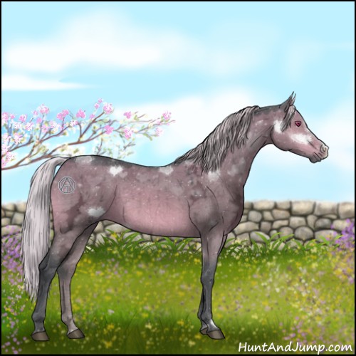 Horse Color:Silver Brown Chinchilla Ice Dun Brindle 