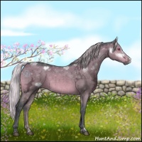 Horse Color:Silver Brown Chinchilla Ice Dun Brindle 