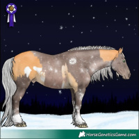 Horse Color:Gold Cream Champagne Frame  and Gray Platinum Silver Black Pearl Tobiano 