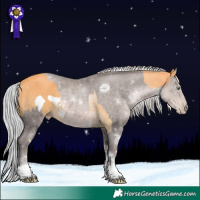 Horse Color:Gold Cream Champagne Frame  and Gray Platinum Silver Black Snowdrop Pearl Tobiano 