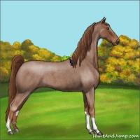 Horse Color:Red Roan Tobiano 