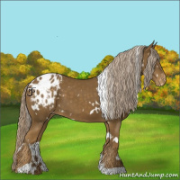 Horse Color:White Spotted Chocolate Palomino Blanket