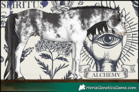 Horse Color:White Spotted Smoky Black 