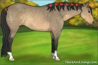 Horse Color:Buckskin Dun