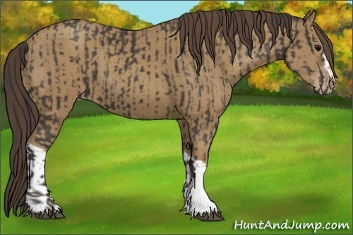 Horse Color:Smoky Black  and Classic Cream Champagne 