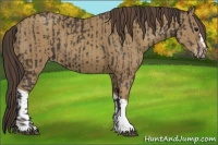 Horse Color:Smoky Black  and Classic Cream Champagne 