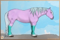 Horse Color:Watercolor Silver Bay Chinchilla Rabicano 