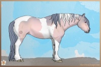 Horse Color:Watercolor Brown Chinchilla Tobiano