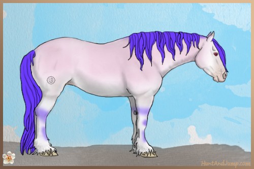 Horse Color:Watercolor Amber Champagne Chinchilla Onyx 