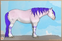 Horse Color:Watercolor Amber Champagne Chinchilla Onyx