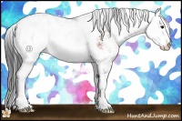 Horse Color:Bay Sabino 