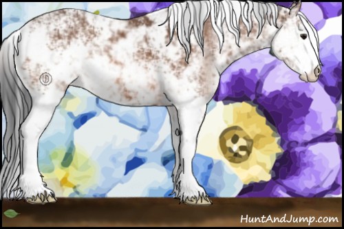 Horse Color:Bay Sabino 