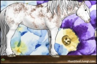 Horse Color:Bay Sabino