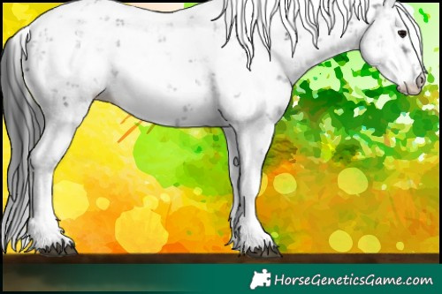 Horse Color:Black Sabino 
