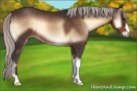Horse Color:Silver Brown Onyx Mushroom 