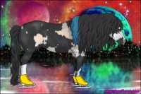 Horse Color:Watercolor Brown Chinchilla Onyx  and Black 