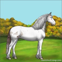 Horse Color:Chocolate Blue Onyx Sabino Splash Tobiano 