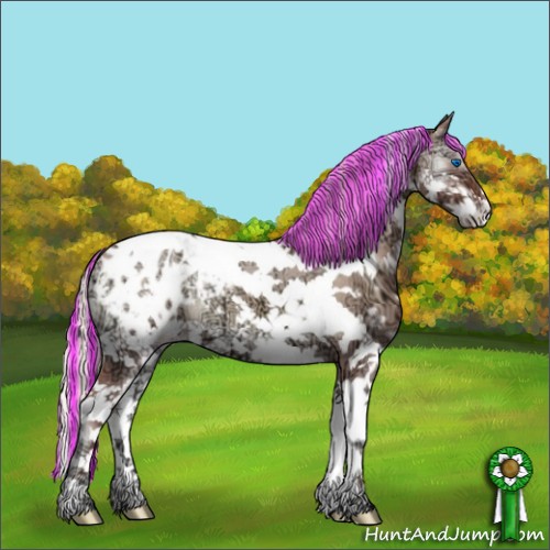 Horse Color:Painted White Spotted Chocolate Silver Grullo Ice Onyx Splash Tobiano Appaloosa 