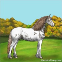 Horse Color:Chocolate Grullo Ice Pearl Sabino Splash Tobiano Varnish 