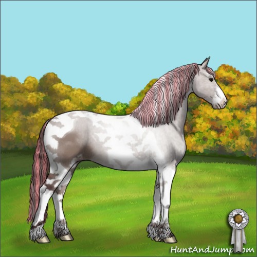 Horse Color:Painted Chocolate Grullo Sabino Tobiano Appaloosa