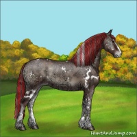 Horse Color:Painted White Spotted Chocolate Grullo Ice Onyx Sabino Appaloosa Rabicano Brindle