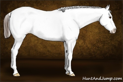 Horse Color:Liver Red Dun Fewspot