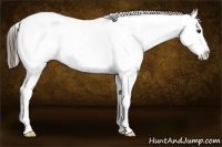 Horse Color:Liver Red Dun Fewspot 