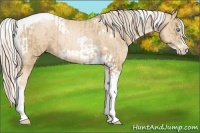 Horse Color:Chocolate Palomino Pearl Tobiano Frame  and Palomino Pearl Tobiano Frame 